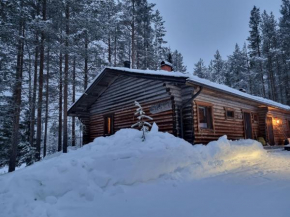 Ylläs Valokki Ylläsjärvi